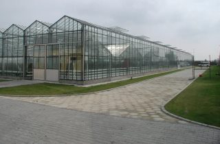 Строительство промышленных теплиц